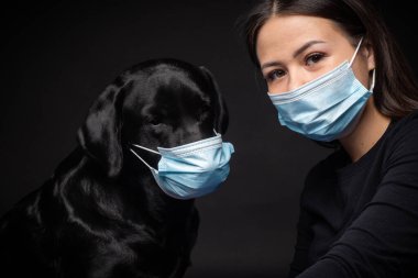 Labrador Retriever köpeğinin portresi. Koruyucu bir tıbbi maske takmış, bir de kadın sahibi var. Fotoğraf stüdyosunda çekilmişti.