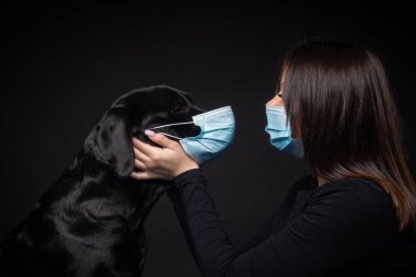 Labrador Retriever köpeğinin portresi. Koruyucu bir tıbbi maske takmış, bir de kadın sahibi var. Fotoğraf stüdyosunda çekilmişti.