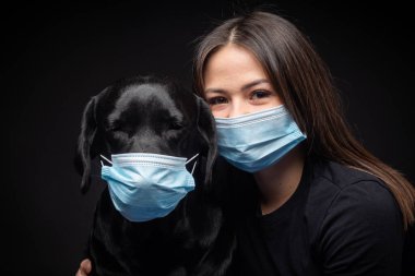 Labrador Retriever köpeğinin portresi. Koruyucu bir tıbbi maske takmış, bir de kadın sahibi var. Fotoğraf stüdyosunda çekilmişti.