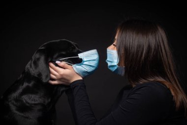 Labrador Retriever köpeğinin portresi. Koruyucu bir tıbbi maske takmış, bir de kadın sahibi var. Fotoğraf stüdyosunda çekilmişti.