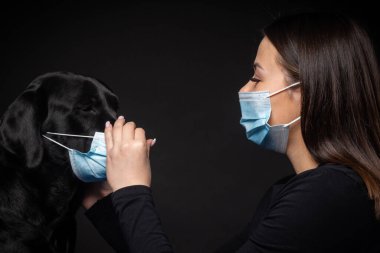 Labrador Retriever köpeğinin portresi. Koruyucu bir tıbbi maske takmış, bir de kadın sahibi var. Fotoğraf stüdyosunda çekilmişti.