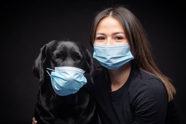 Labrador Retriever köpeğinin portresi. Koruyucu bir tıbbi maske takmış, bir de kadın sahibi var. Fotoğraf stüdyosunda çekilmişti.