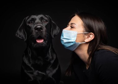 Labrador Retriever köpeğinin portresi. Koruyucu bir tıbbi maske takmış, bir de kadın sahibi var. Fotoğraf stüdyosunda çekilmişti.
