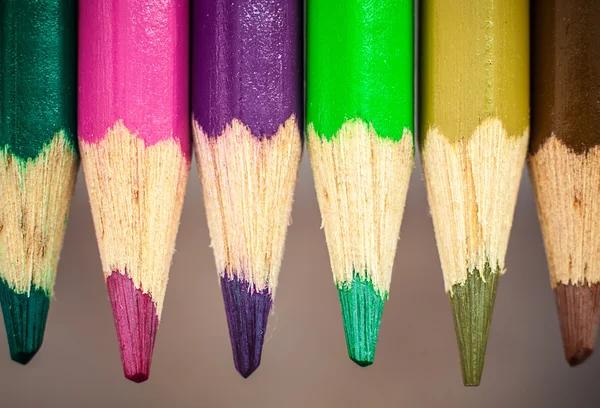 Grevillia kolorowe ołówki — Zdjęcie stockowe