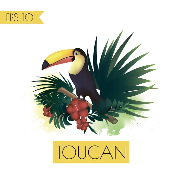 Toucan och tropiska växter Vektorgrafik