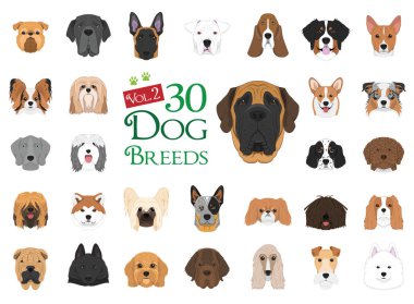 Dog breeds Vector Collection: Set 2. 30 different dog breeds in cartoon style. clipart