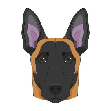 Belçikalı Sheperd Malinois köpeği beyaz arkaplan vektör ilülasyonunda izole edildi