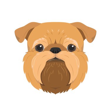 Brüksel Griffon köpeği beyaz arkaplan vektör illüstrasyonunda izole edildi