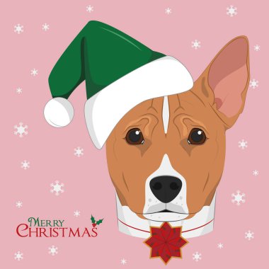 Noel tebrik kartı. Yeşil Noel Baba şapkası ve Noel süsü takan Basenji köpeği.
