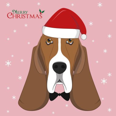 Noel tebrik kartı. Kırmızı Noel Baba şapkası ve papyonlu Basset av köpeği.