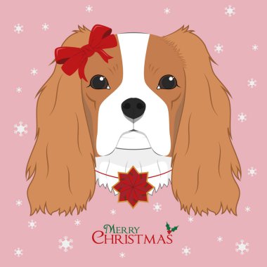 Noel tebrik kartı. Şövalye Kral Charles Spaniel kırmızı bir fiyonk ve Noel süsüyle
