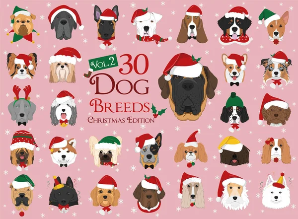 Set Dog Breeds Christmas Winter Themes Set — Stock Vector