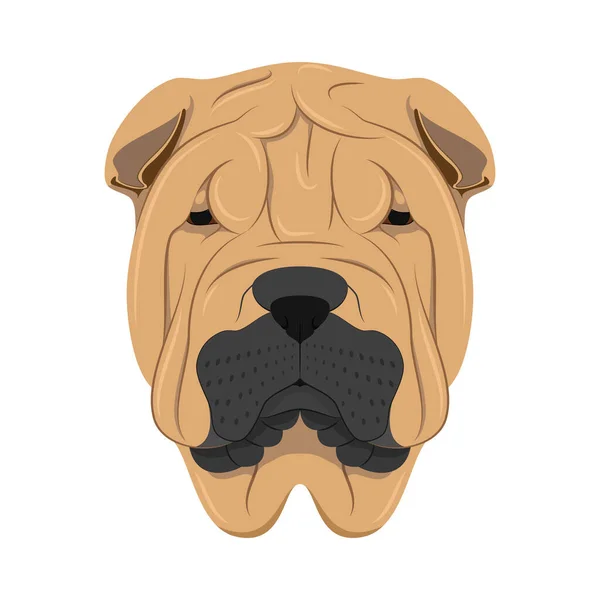 Shar Pei Hund Isolerad Vit Bakgrund Vektor Illustration — Stock vektor