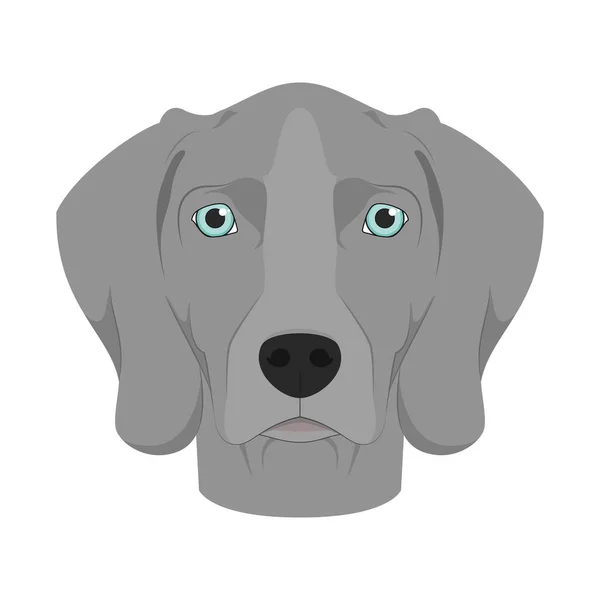 Weimaraner Pies Izolowany Białym Tle Wektor Ilustracji — Wektor stockowy