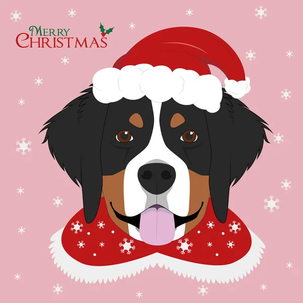 Weihnachtsgrußkarte Vorhanden Berner Sennenhund Mit Roter Weihnachtsmütze — Stockvektor