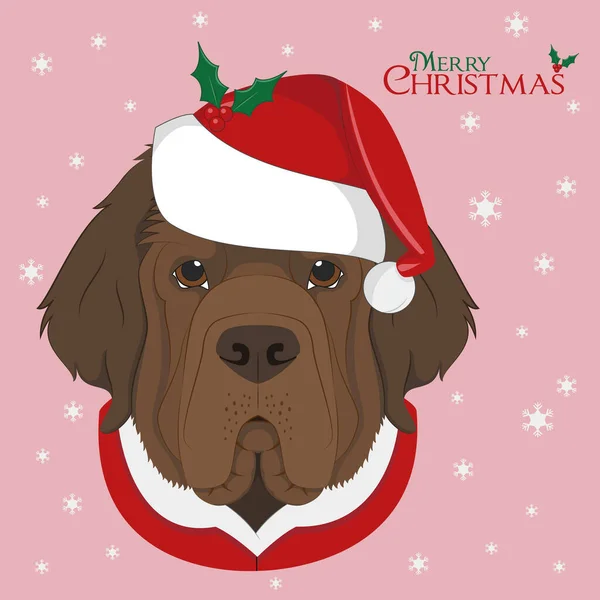 Julkort Newfoundland Hund Med Röd Tomte Hatt — Stock vektor
