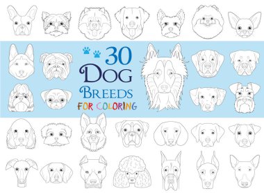 Dog Breeds Collection Cilt 1: Çizgi film tarzında renklendirmek için 30 farklı köpek cinsi.