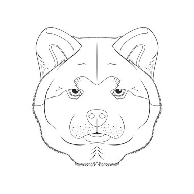 Akita Inu köpeği kolay renkli vektör çizimi. Beyaz arkaplanda izole