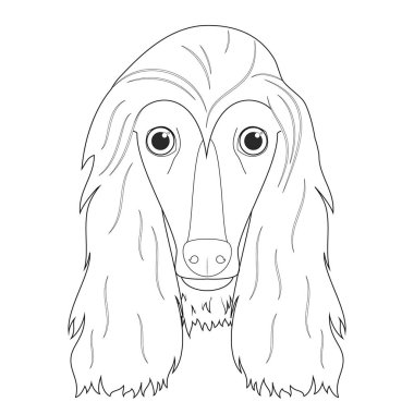 Afgan av köpeği kolay renkli vektör çizimi. Beyaz arkaplanda izole