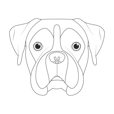 Boksör köpeği kolay renkli çizgi film vektör çizimi. Beyaz arkaplanda izole