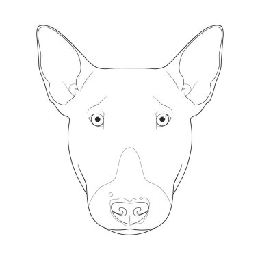 Bull Terrier köpeği kolay renkli vektör çizimi. Beyaz arkaplanda izole