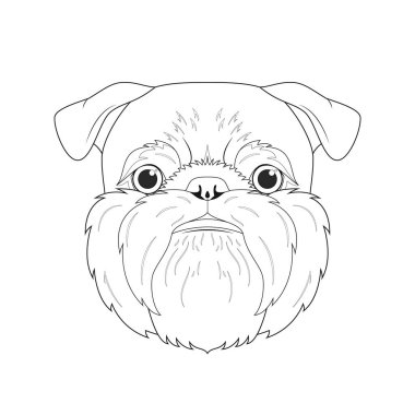 Brüksel Griffon köpeği kolay renkli vektör çizimi. Beyaz arkaplanda izole