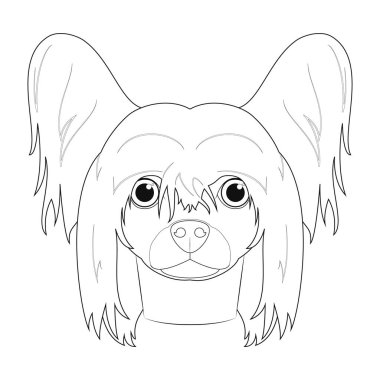 Çin armalı köpek, basit renkli vektör çizimi. Beyaz arkaplanda izole