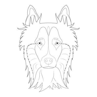 Collie dog kolay renkli çizgi film vektör çizimi. Beyaz arkaplanda izole