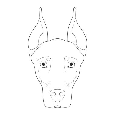 Dobermann 'ın köpeği kolay renkli çizgi film vektör çizimi. Beyaz arkaplanda izole