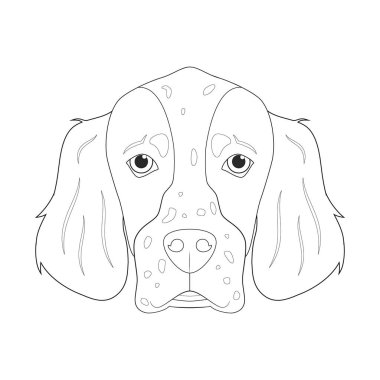 English Setter köpeği kolay renkli çizgi film vektör çizimi. Beyaz arkaplanda izole