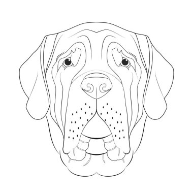 İngiliz Mastiff köpeği, basit renkli vektör çizimi. Beyaz arkaplanda izole