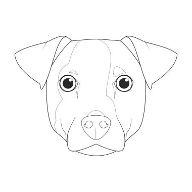 Jack Russell 'ın köpeği kolay renkli çizgi film vektör çizimi. Beyaz arkaplanda izole