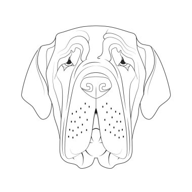 Napolitan Mastiff köpeği kolay renklendirilmiş vektör çizimi. Beyaz arkaplanda izole