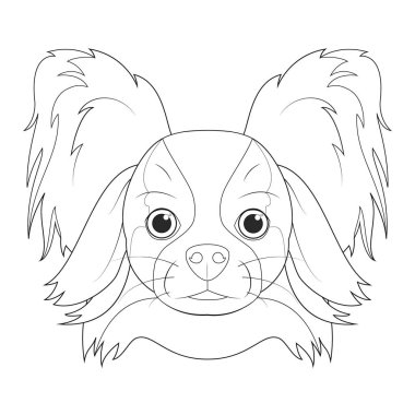 Papillon köpeği kolay renkli çizgi film vektör çizimi. Beyaz arkaplanda izole