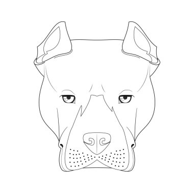 Pitbull ya da American Staffordshire köpeği, basit renkli çizgi film vektör çizimi. Beyaz arkaplanda izole