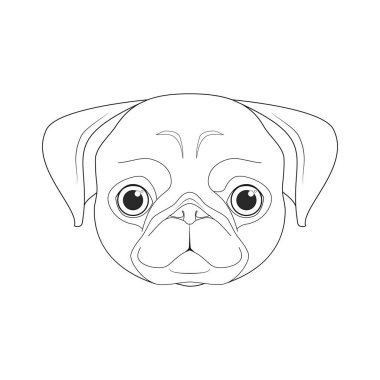Pug dog kolay renkli çizgi film vektör çizimi. Beyaz arkaplanda izole