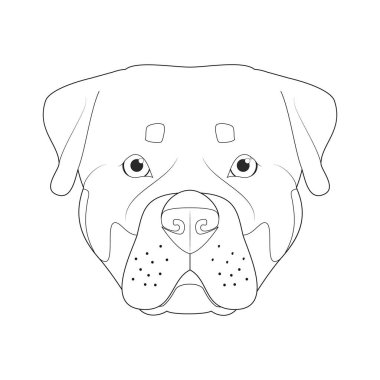 Rottweiler köpeği kolay renkli vektör çizimi. Beyaz arkaplanda izole