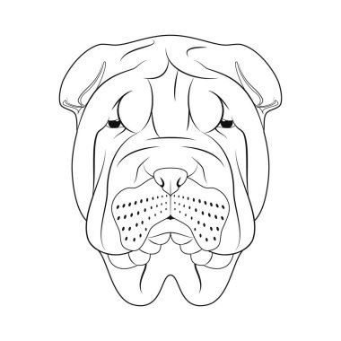 Shar Pei köpeği kolay renkli vektör çizimi. Beyaz arkaplanda izole