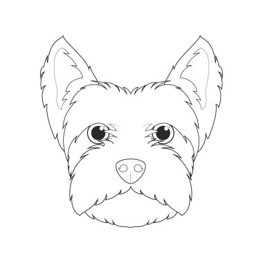 West Highland White Terrier köpeği, basit renkli vektör çizimi. Beyaz arkaplanda izole