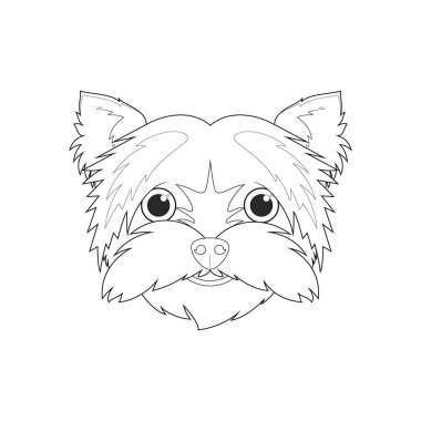 Yorkshire Terrier köpeği basit renkli vektör çizimi. Beyaz arkaplanda izole