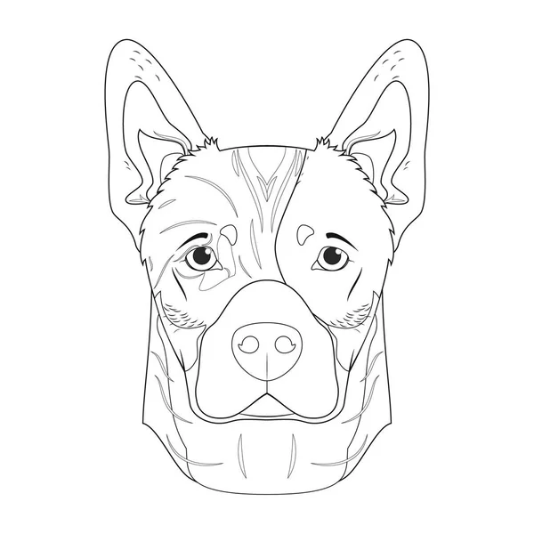 Australian Cattle Dog Easy Coloring Cartoon Vector Illustration Isolated White —  Vetores de Stock