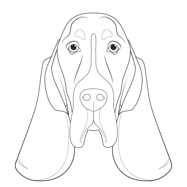 Basset Hound Dog Easy Coloring Cartoon Vector Illustration Isolated White — Stock Vector