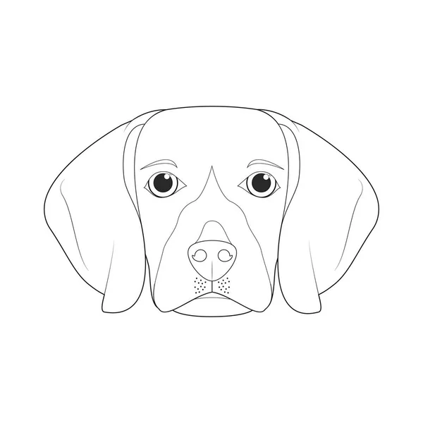 Beagle Perro Fácil Para Colorear Ilustración Vector Dibujos Animados Aislado — Archivo Imágenes Vectoriales