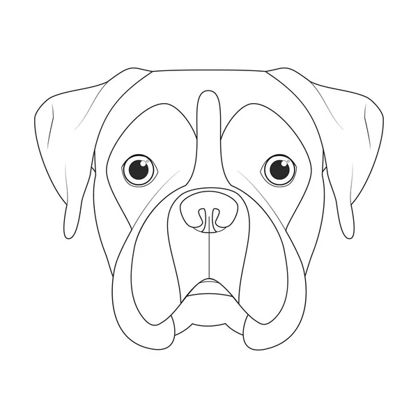Boxer Σκυλί Εύκολο Χρωματισμό Εικονογράφηση Φορέα Κινουμένων Σχεδίων Απομονωμένα Λευκό — Διανυσματικό Αρχείο