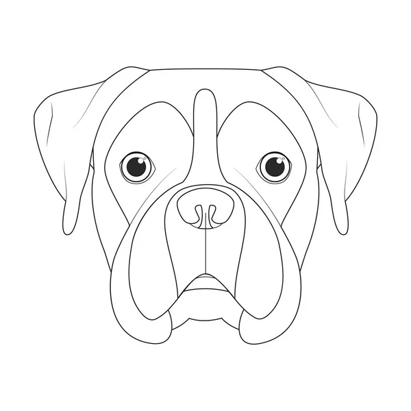 Boxer Chien Coloriage Facile Illustration Vectorielle Dessin Animé Isolé Sur — Image vectorielle