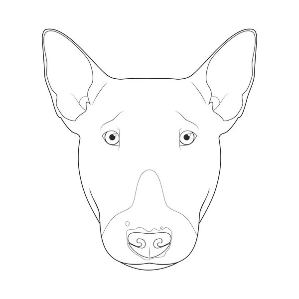 Bull Terrier Dog Easy Coloring Cartoon Vector Illustration Isolated White — Stock Vector