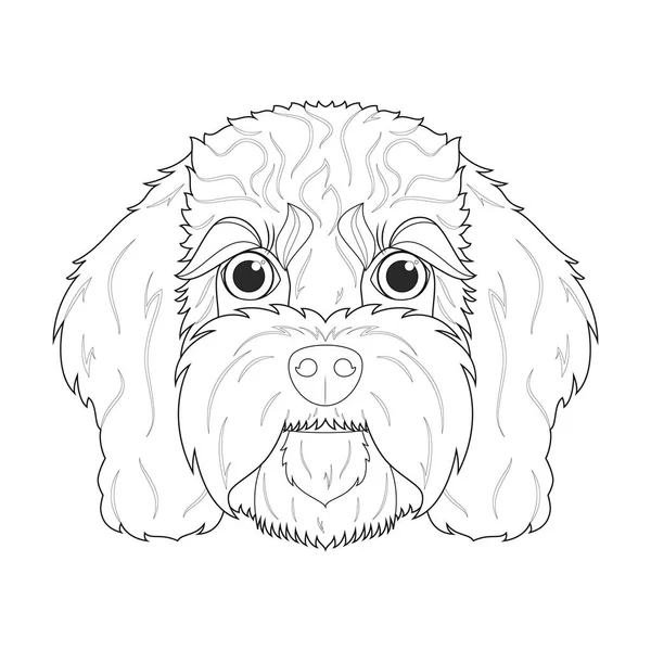 Chien Cavoodle Coloriage Facile Illustration Vectorielle Dessin Animé Isolé Sur — Image vectorielle