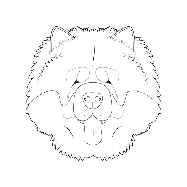 Чоу Чоу Собака Легка Розмальовка Мультфільм Векторні Ілюстрації Ізольовані Білому — стоковий вектор