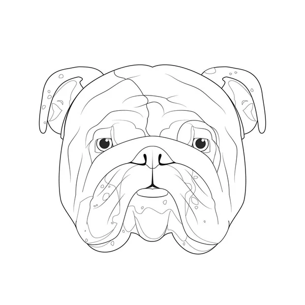 Inglés Bulldog Perro Fácil Para Colorear Ilustración Vectorial Dibujos Animados — Vector de stock