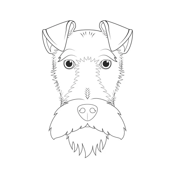 Fox Terrier Pies Łatwe Kolorowanki Wektor Rysunku Ilustracji Izolacja Białym — Wektor stockowy